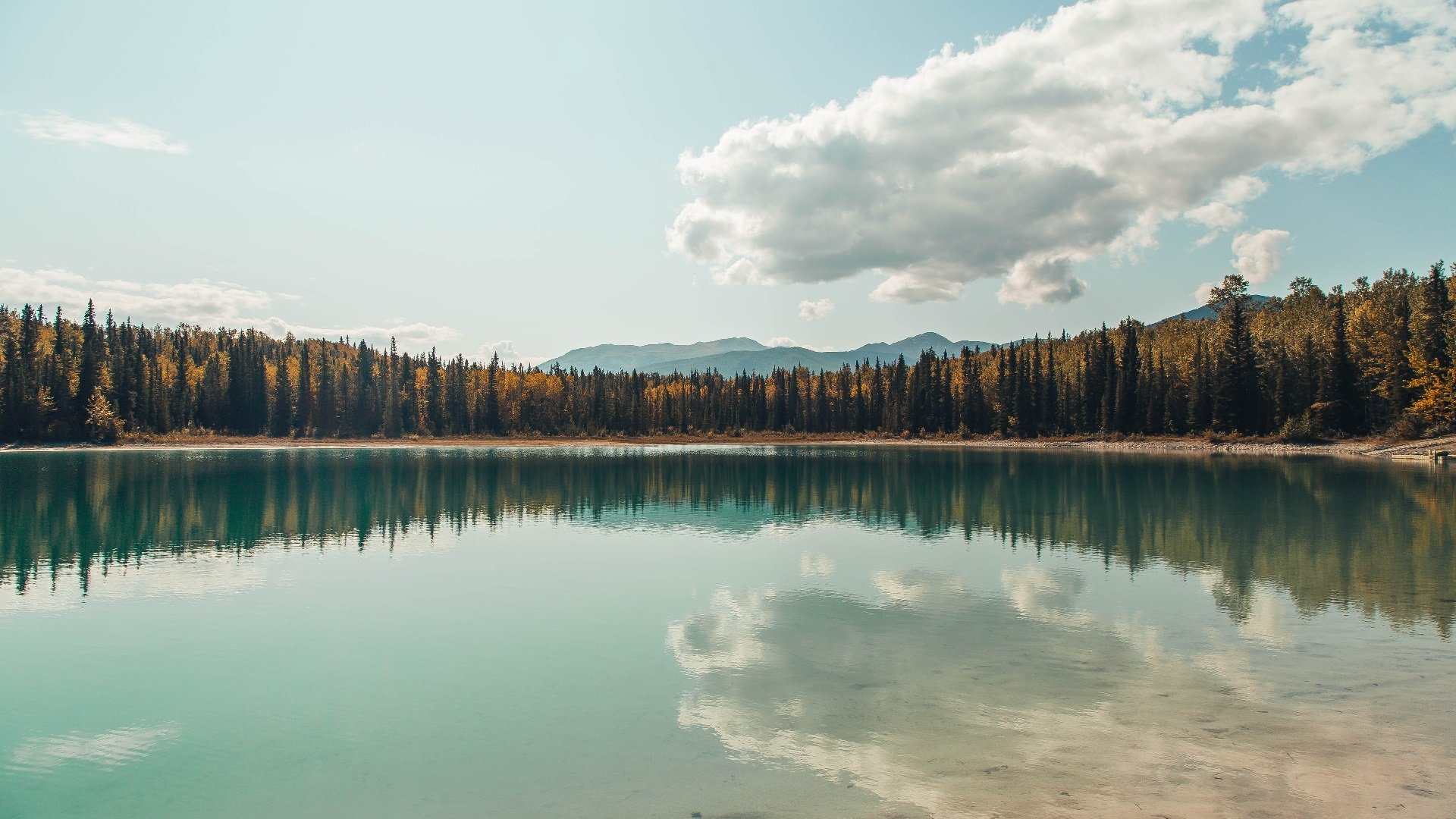 世界排名争夺战焦点战，苏格兰凯尔特人淘汰尤文图斯，欧战史诗级逆袭