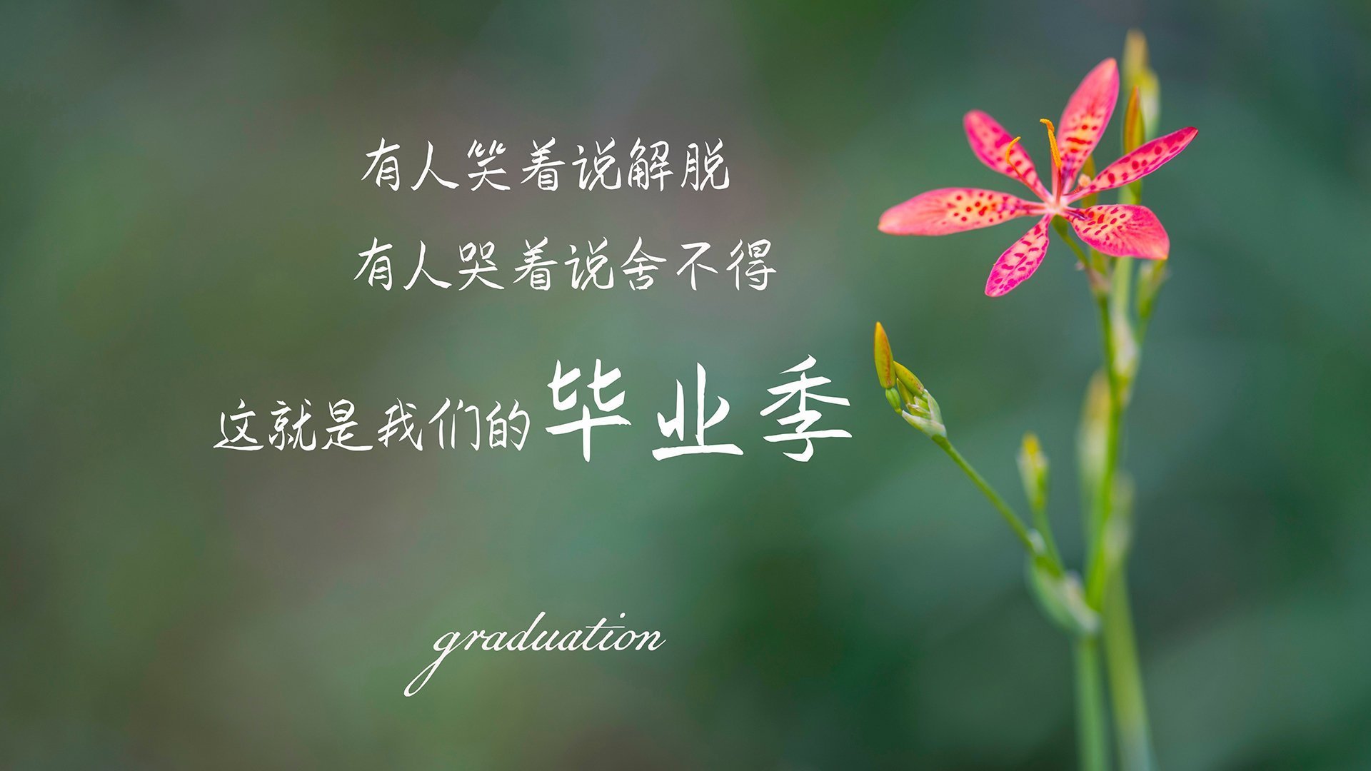 当尼克斯偷走了太阳的烈度，克莱·汤普森的欧洲足球决赛启示录