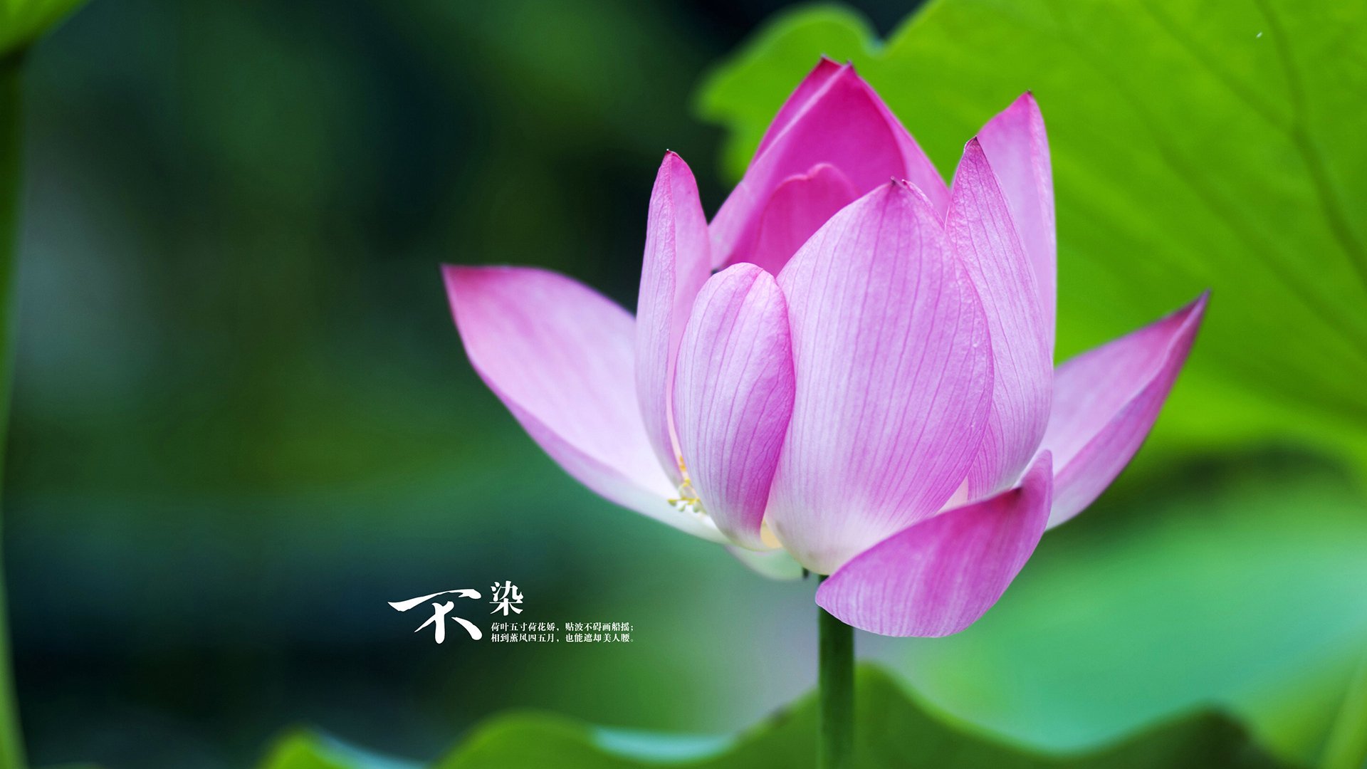 奥运周期关键战,塞维利亚惊天逆转贝蒂斯,德比焦点战书写传奇