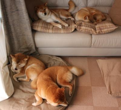 卢卡库惊艳四座，瑞典黑马加时鏖战击碎莱比锡红牛