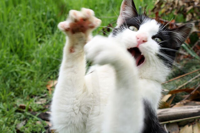 幽灵舞步，哈弗茨在德比之夜的持续杀伤艺术