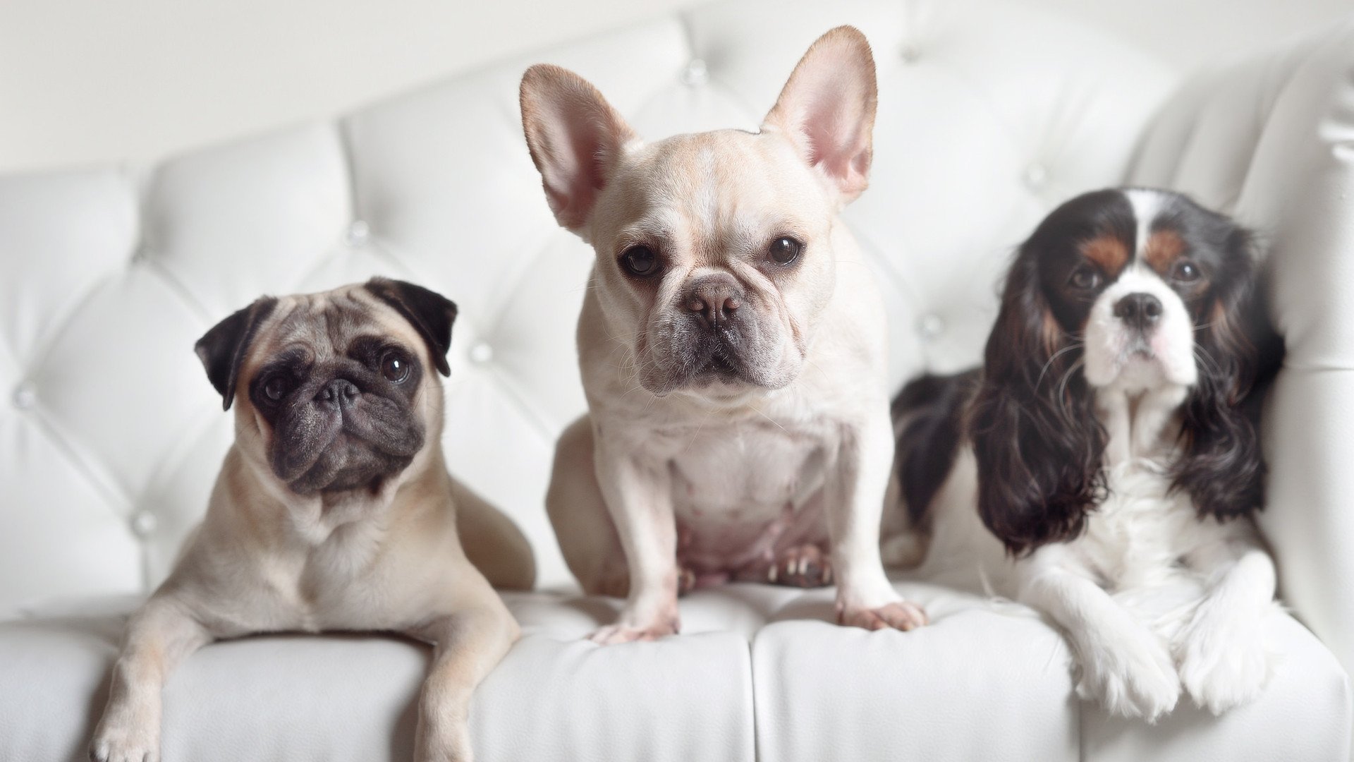 冰与火的淬炼，金玟哉的沉默意志与克罗地亚的决胜风暴