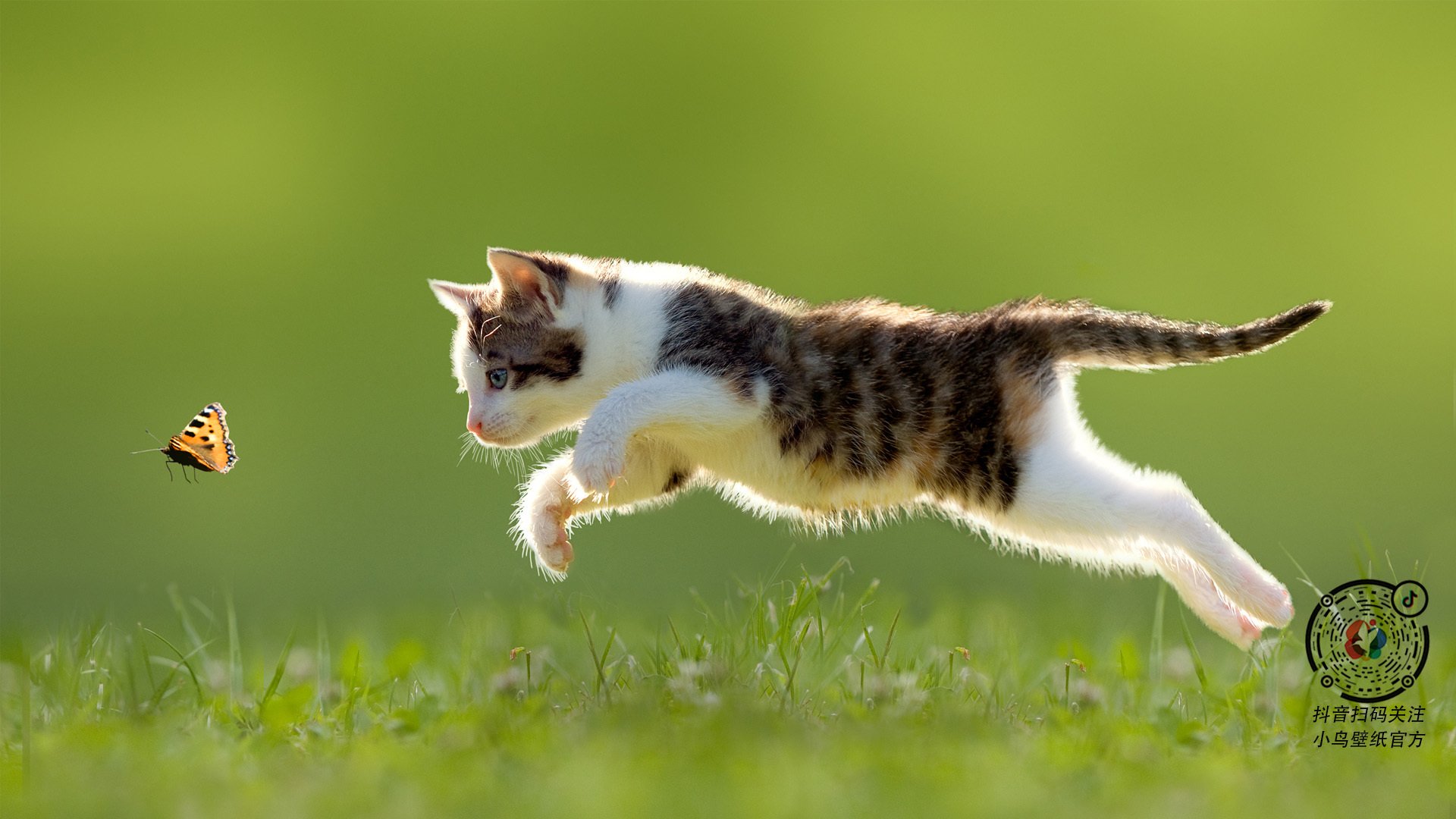 奇才补时绝杀爵士！2026世界杯焦点战诞生经典