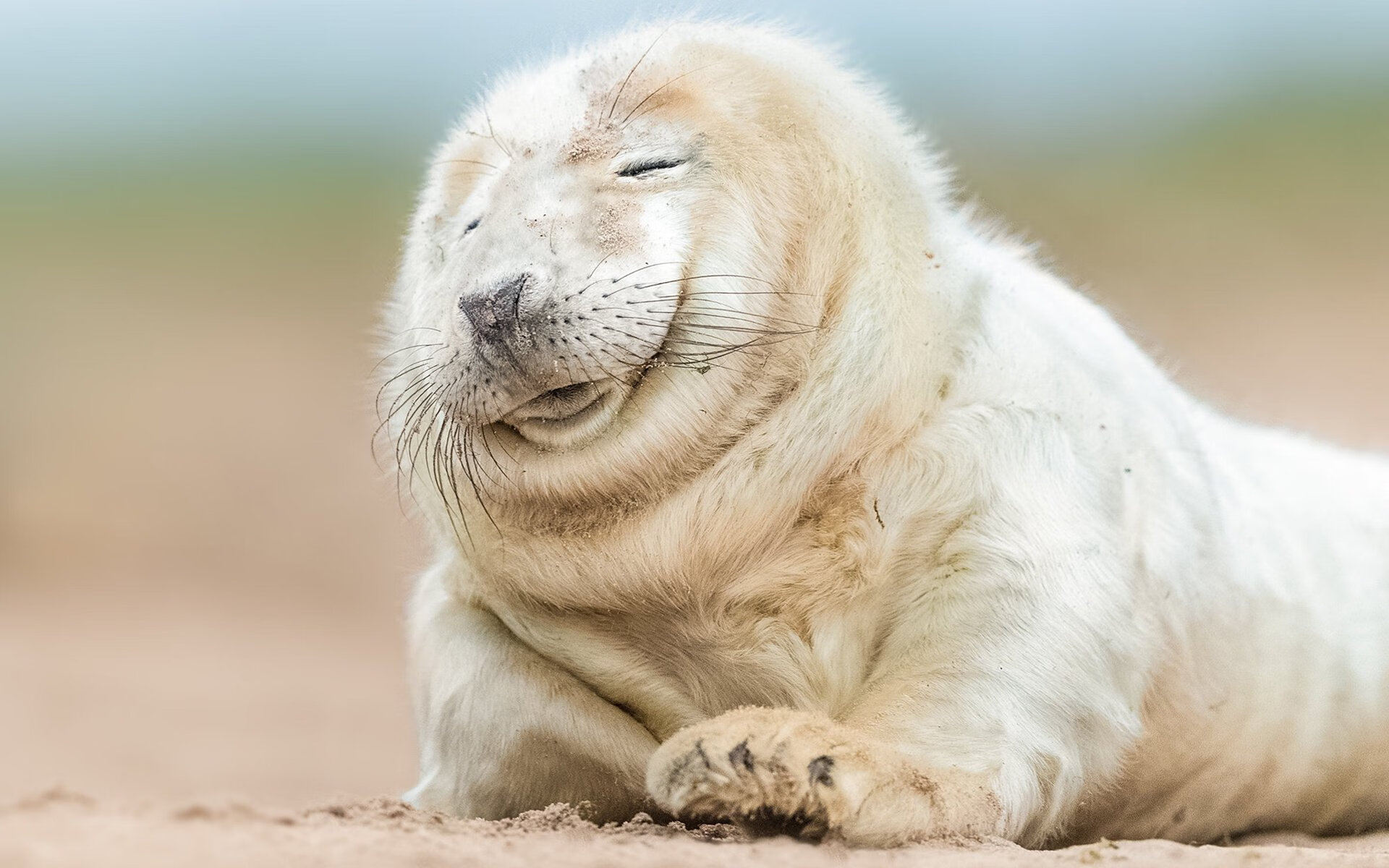 卡马文加关键先生闪耀,几内亚狂胜雷恩震撼足坛