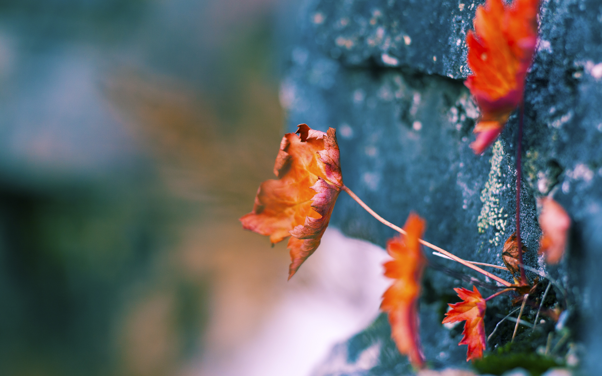 开云体育app-东决战火映绿茵，当阿根廷风暴席卷利物浦