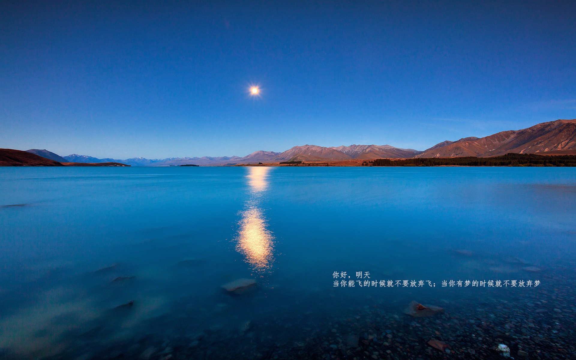 篮球智慧与赛道艺术，上海团队协作与英格拉姆极速统治的双重奏