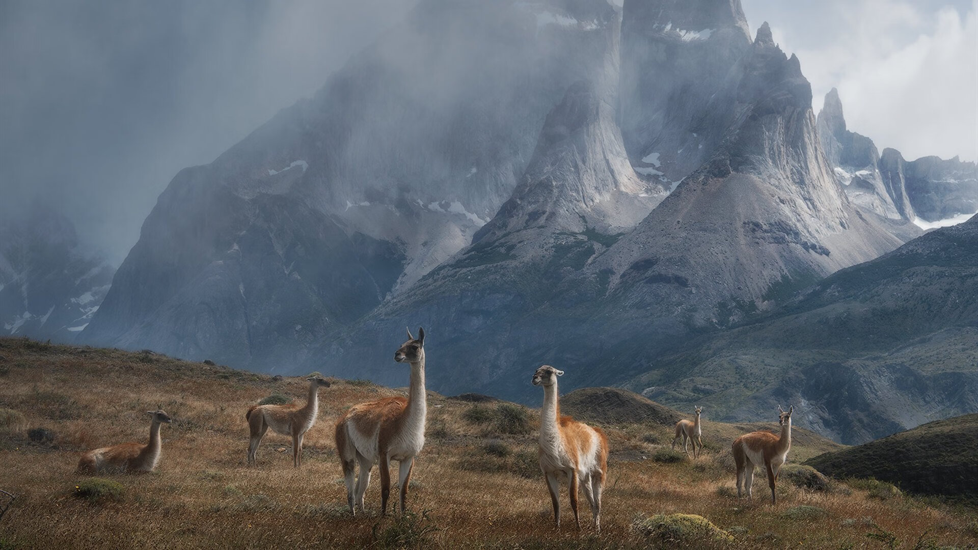 巴黎烈焰焚王权，无名奥纳纳如何撕碎贝蒂斯艺术足球