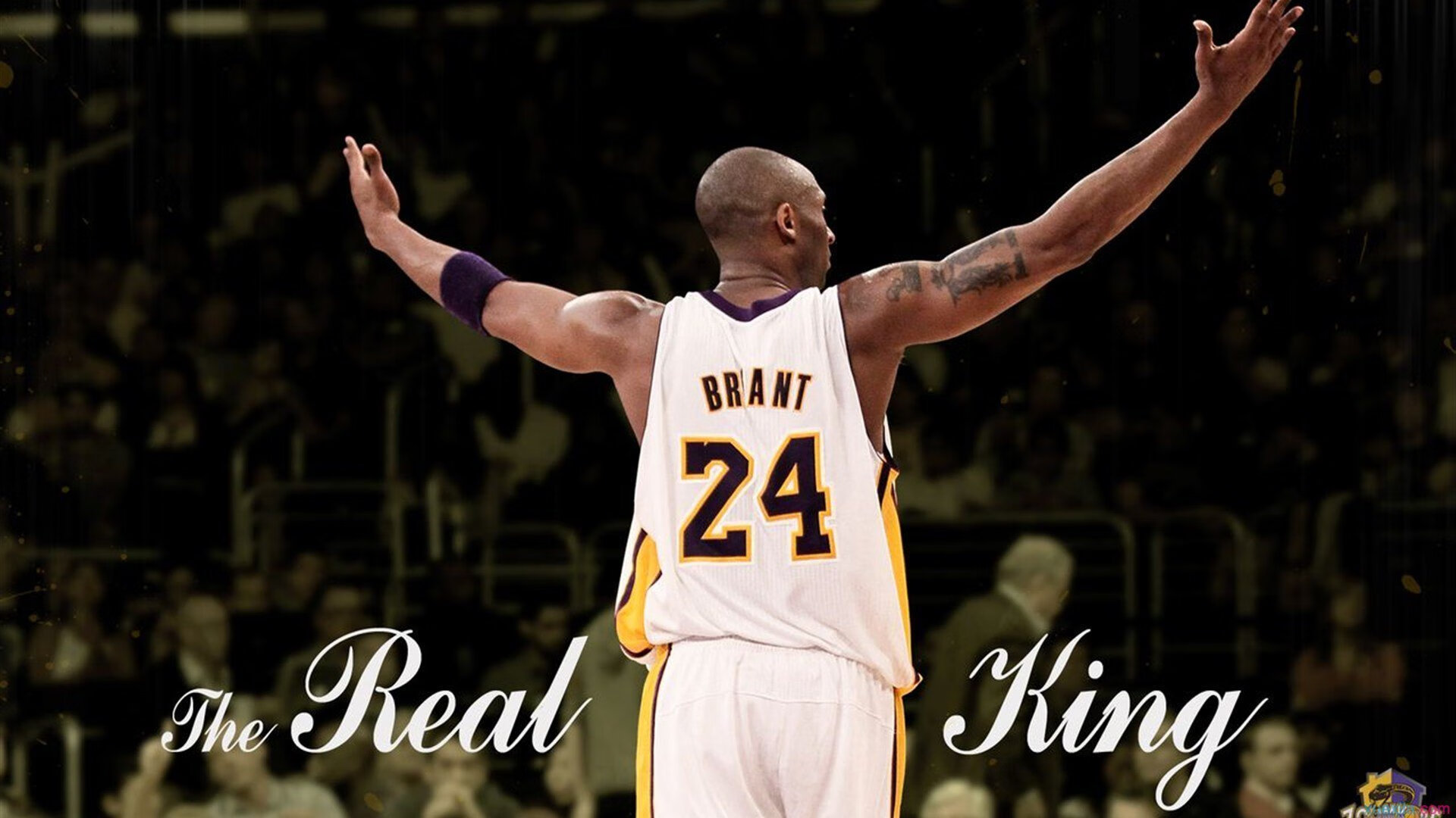 当凯尔特人击溃骑士 东契奇却在欧冠交出新答案