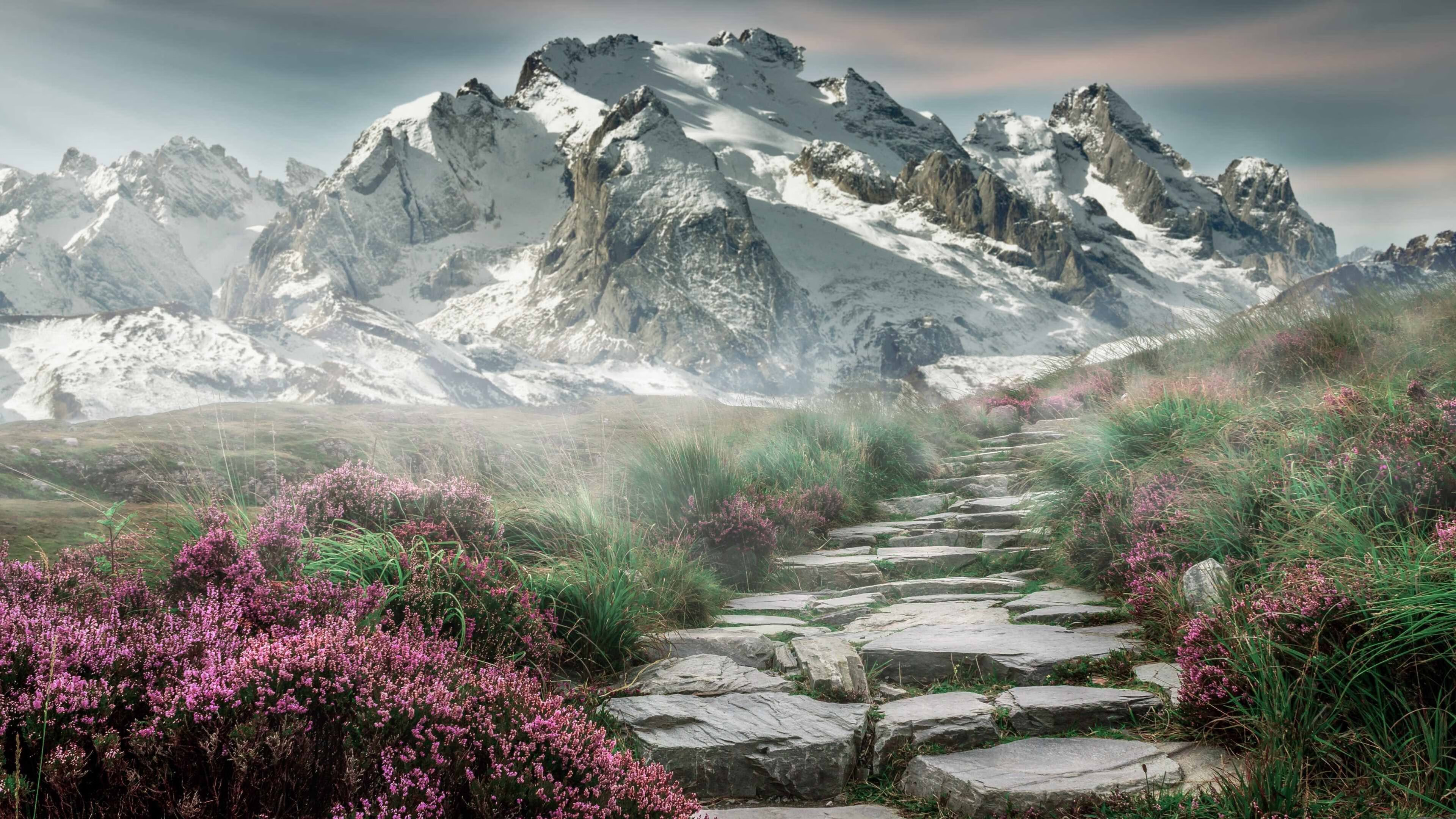 开云体育官方网站-字母哥利刃出鞘！深圳男篮鏖战灰熊，末节10分定乾坤