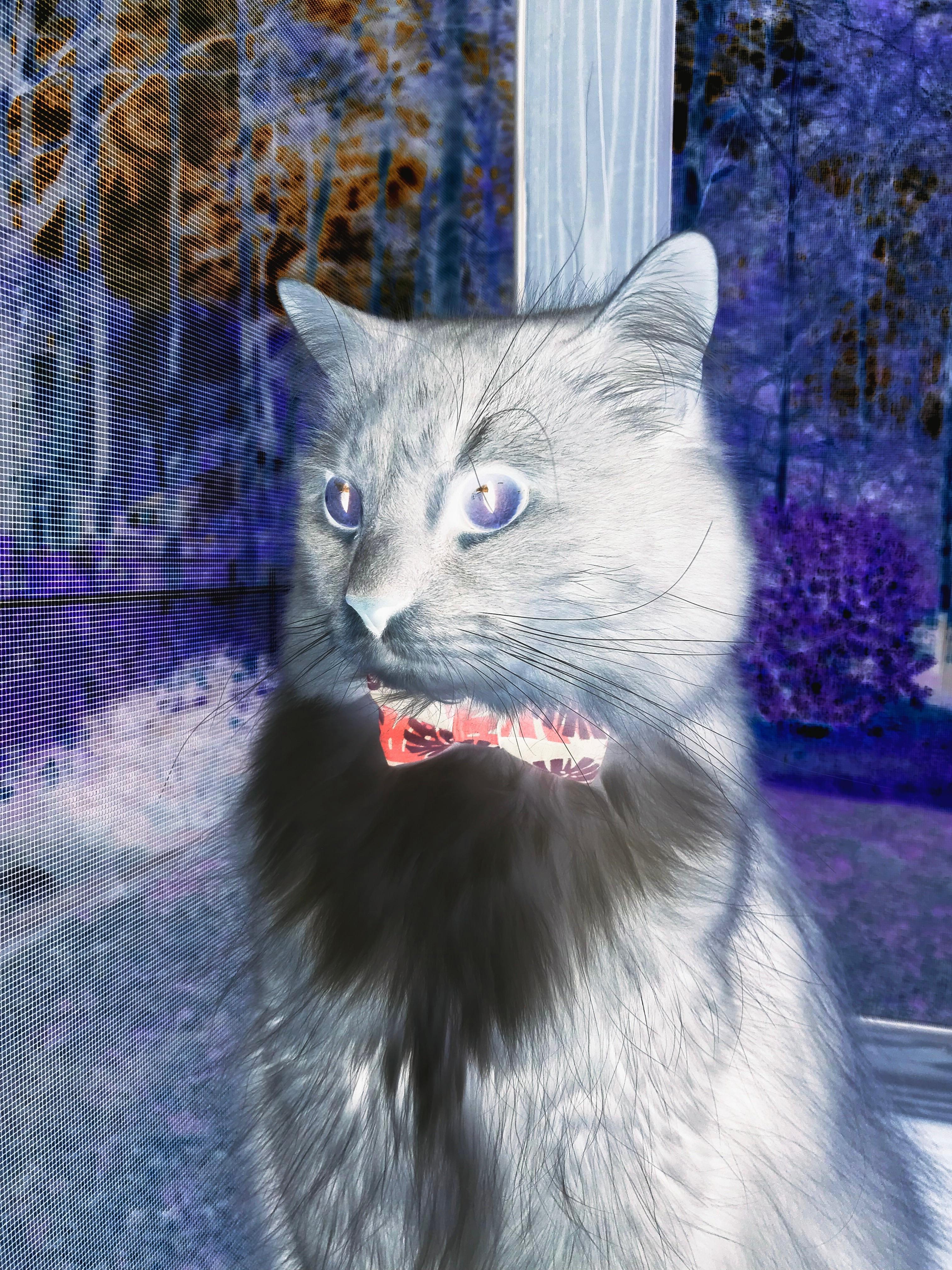 开云体育官方网站-霍勒迪致命抢断，湖人压哨绝杀北京队！