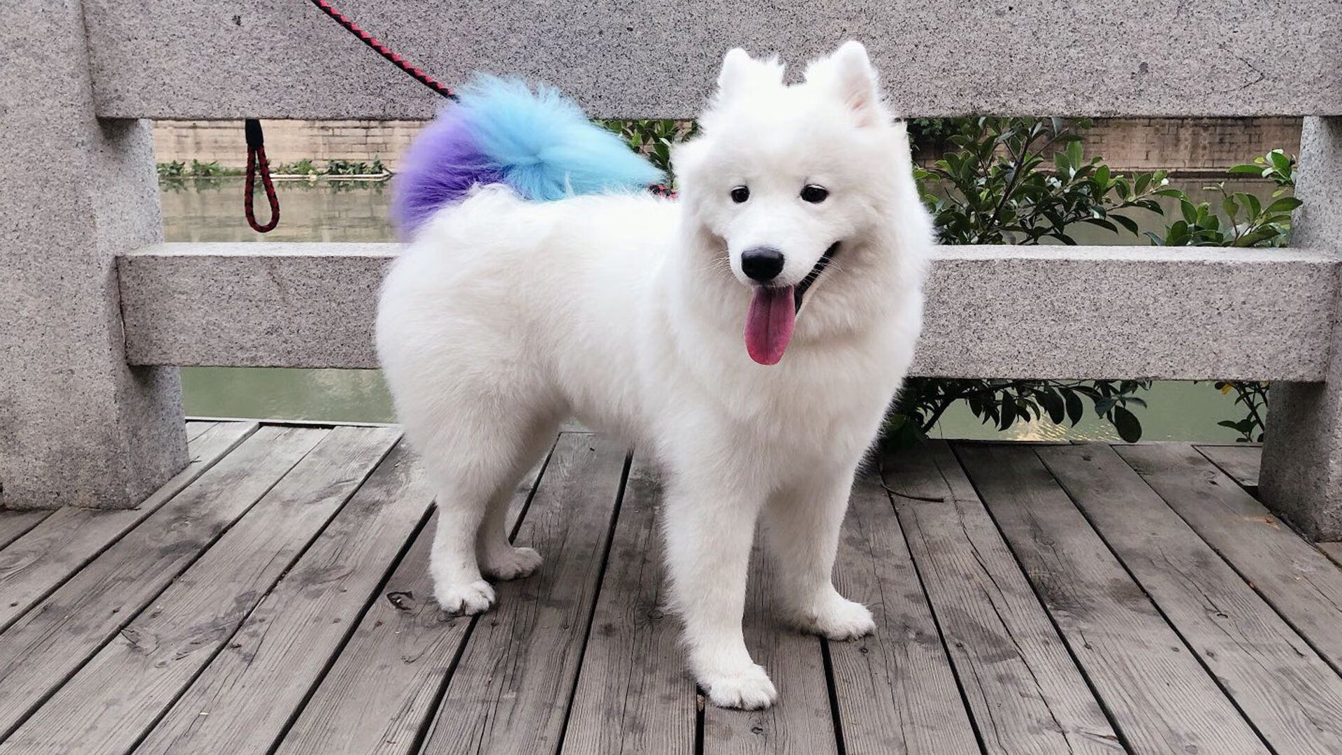 开云体育app-戈贝尔统治攻防！湖人胜76人，全场最佳毫无争议