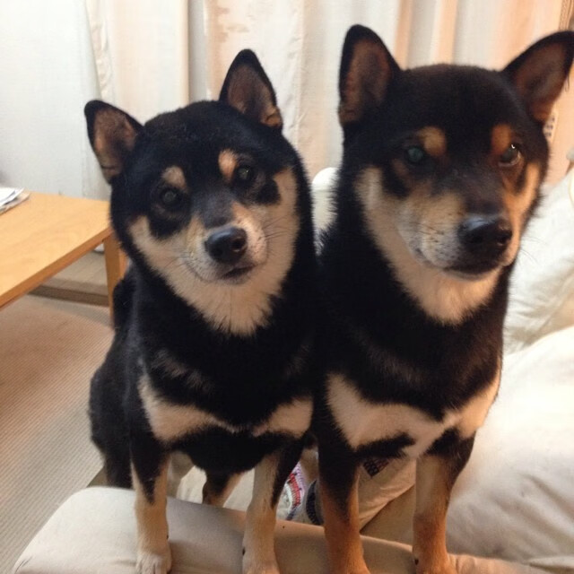 开云体育下载-钢铁防线与手术刀传球，毕尔巴鄂如何为德布劳内铺就关键先生之路