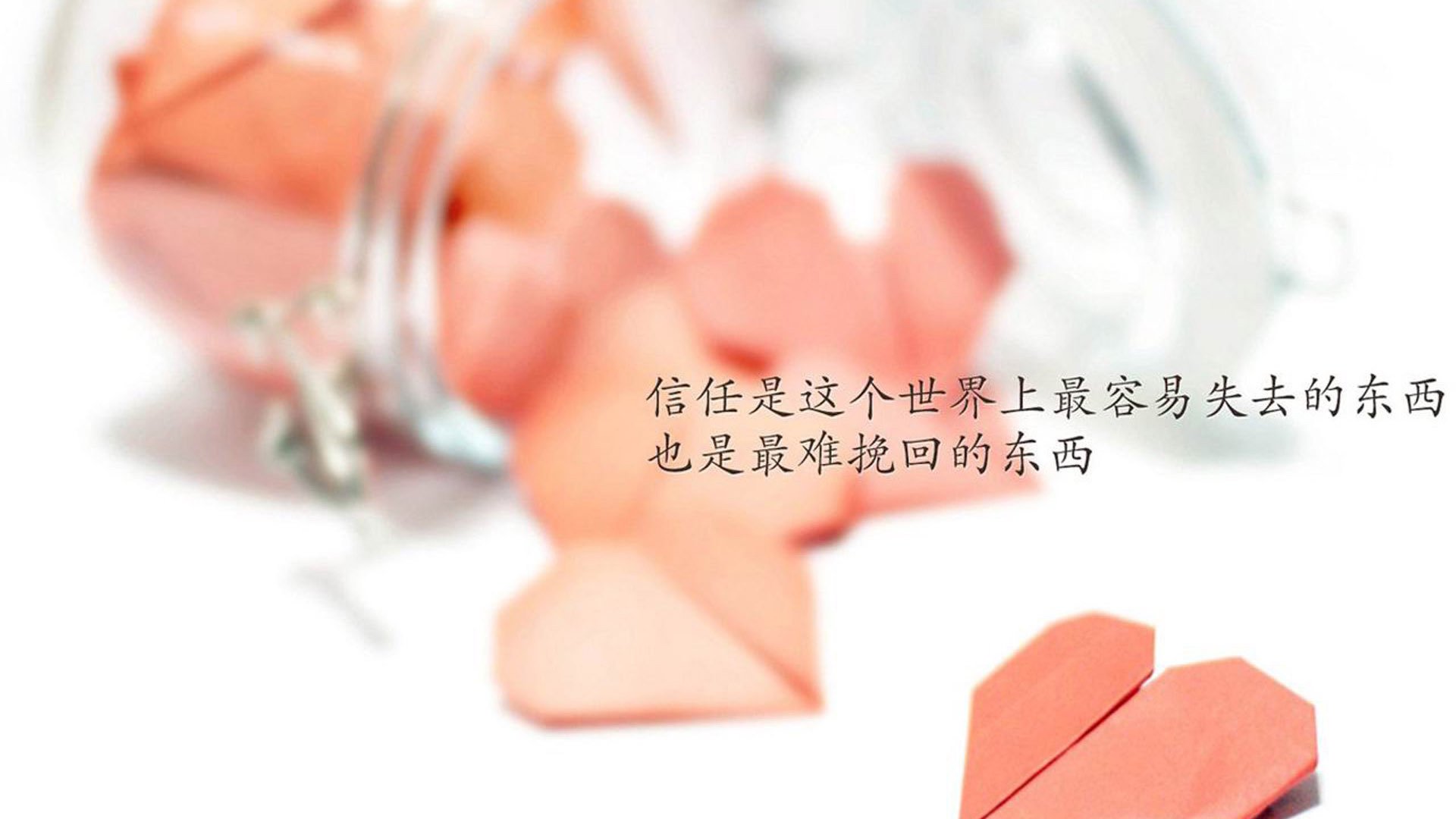 龙吟绝响,当骨子里的凶猛撕裂了天空的优雅