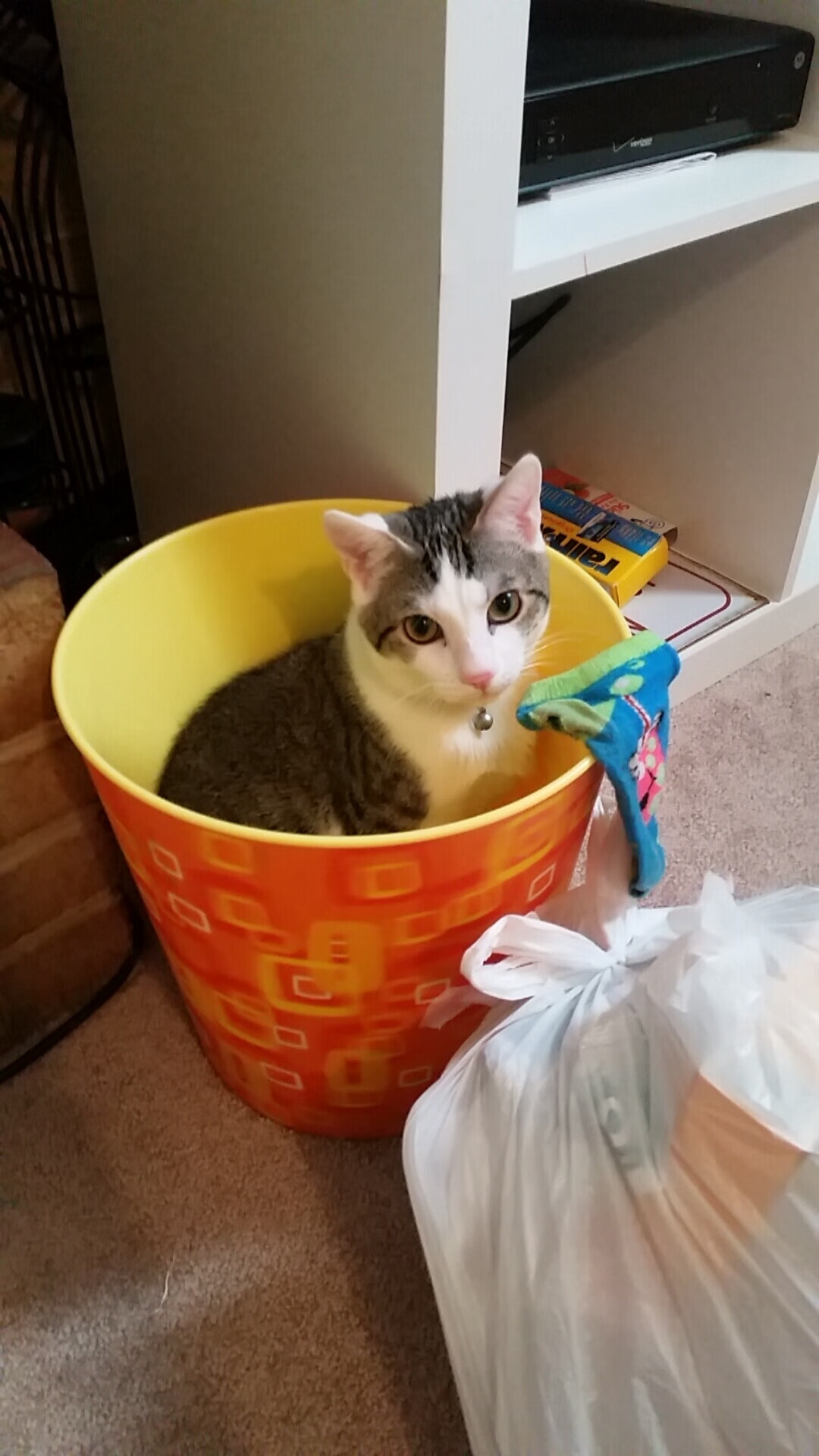 开云APP-乌克兰强势压制贝蒂斯，伊布在年度焦点之战中接管比赛