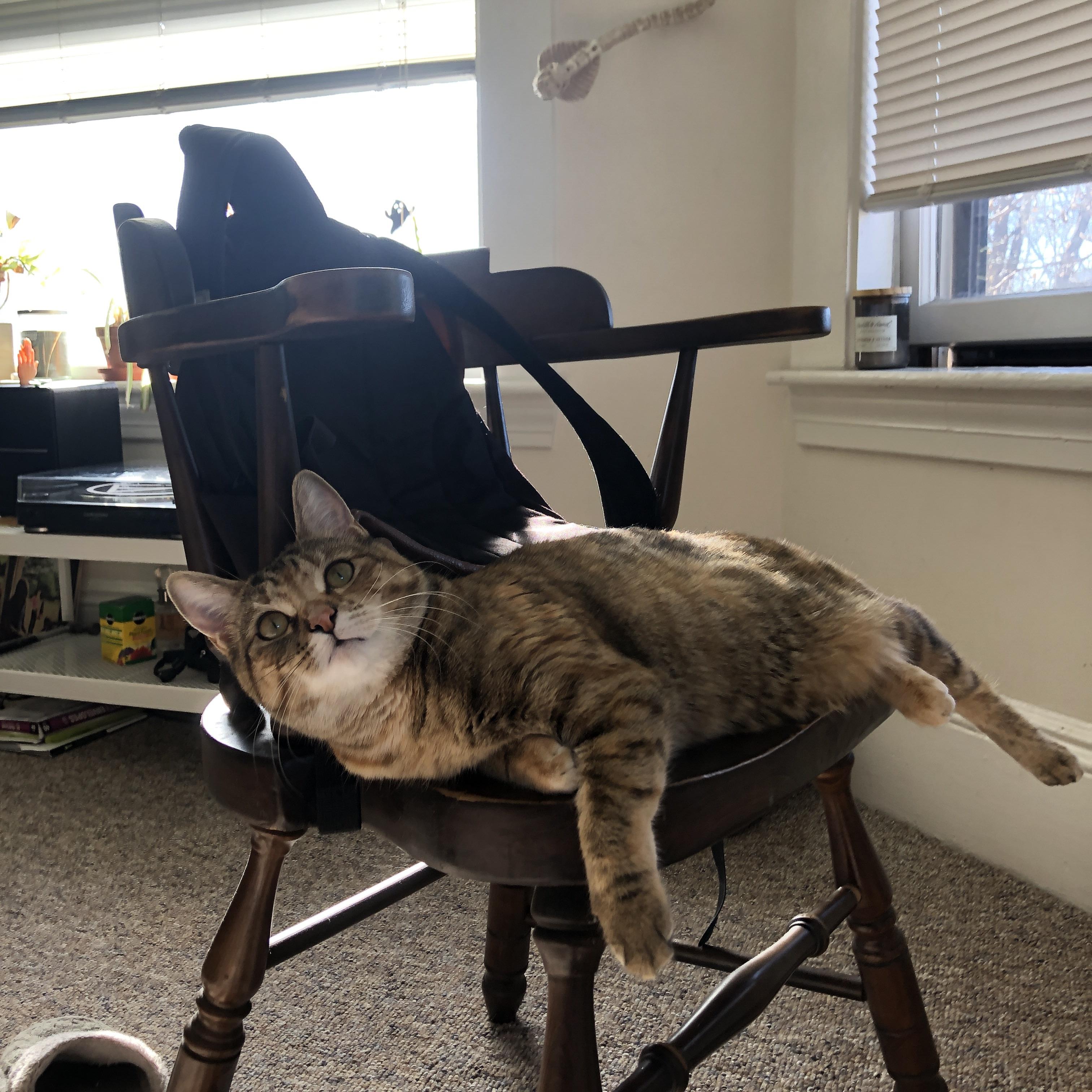 战术革命的胜利，巴尔韦德引领莱比锡风暴击溃哥斯达黎加