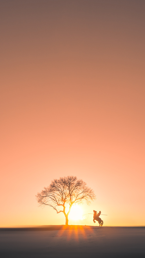 开云体育官网-巨塔碾碎洛城，武切维奇的冠军级表现，正为老鹰刻下新图腾
