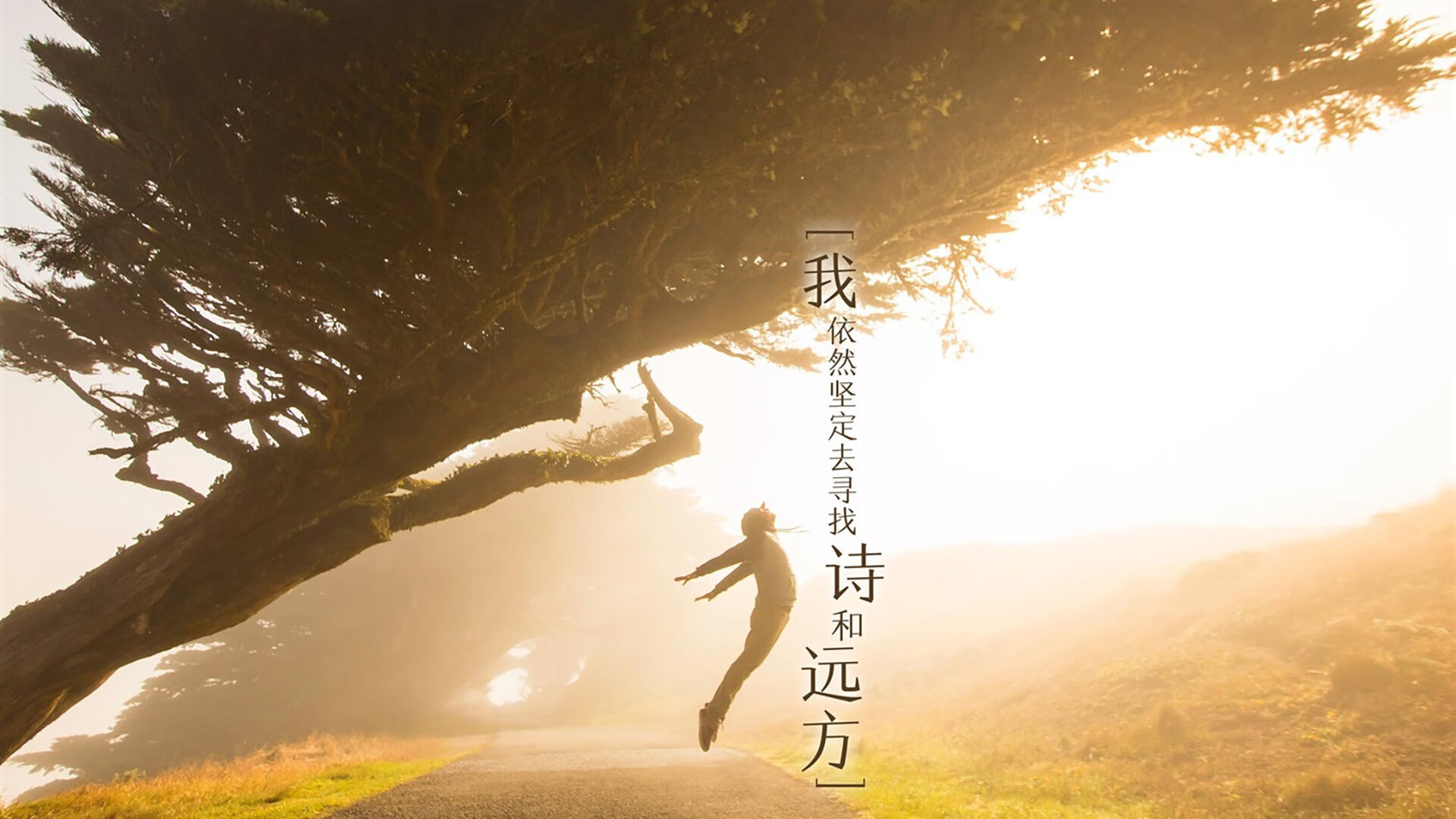 荒漠绿洲的奇迹之夜,2026世界杯E组焦点战,澳大利亚逆转阿联酋,内马尔中场筑起不败长城