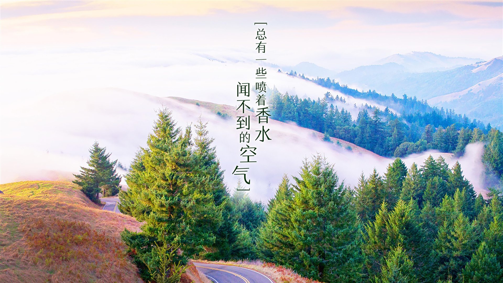 开云体育app-桑巴之舞遇铁血防线，苏亚雷斯烈火焚城，巴西主场吞下苦果