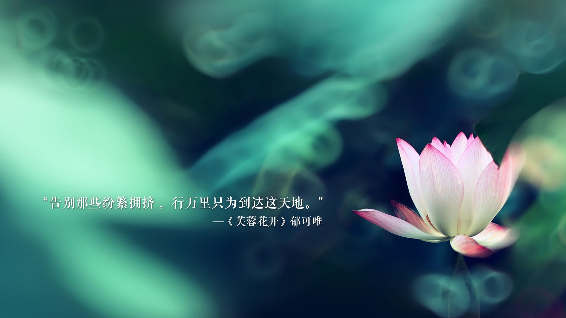 激战2026,C组生死战,加纳横扫日本,布罗佐维奇带队奏凯