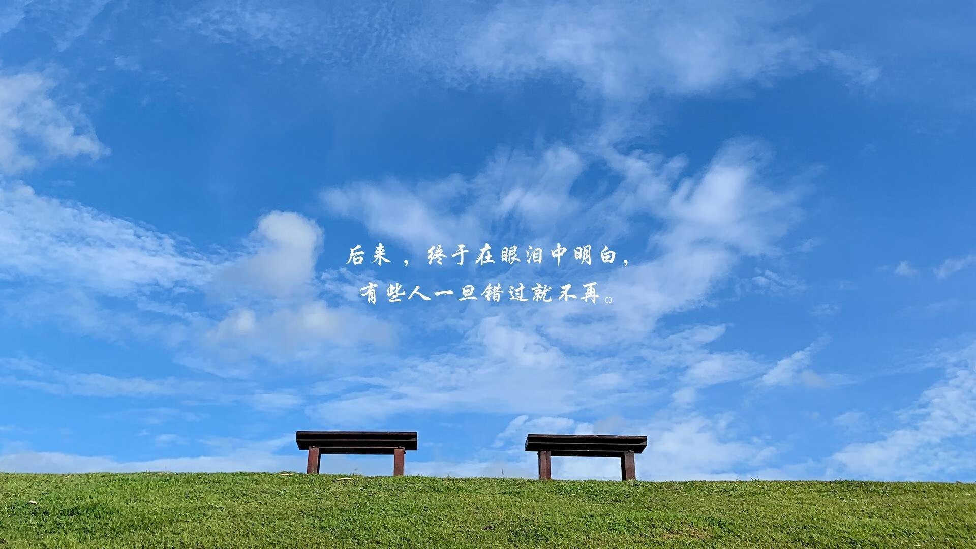 橙衣军团再扬威,范戴克铁血领军,荷兰完胜捷克挺进2026世界杯决赛