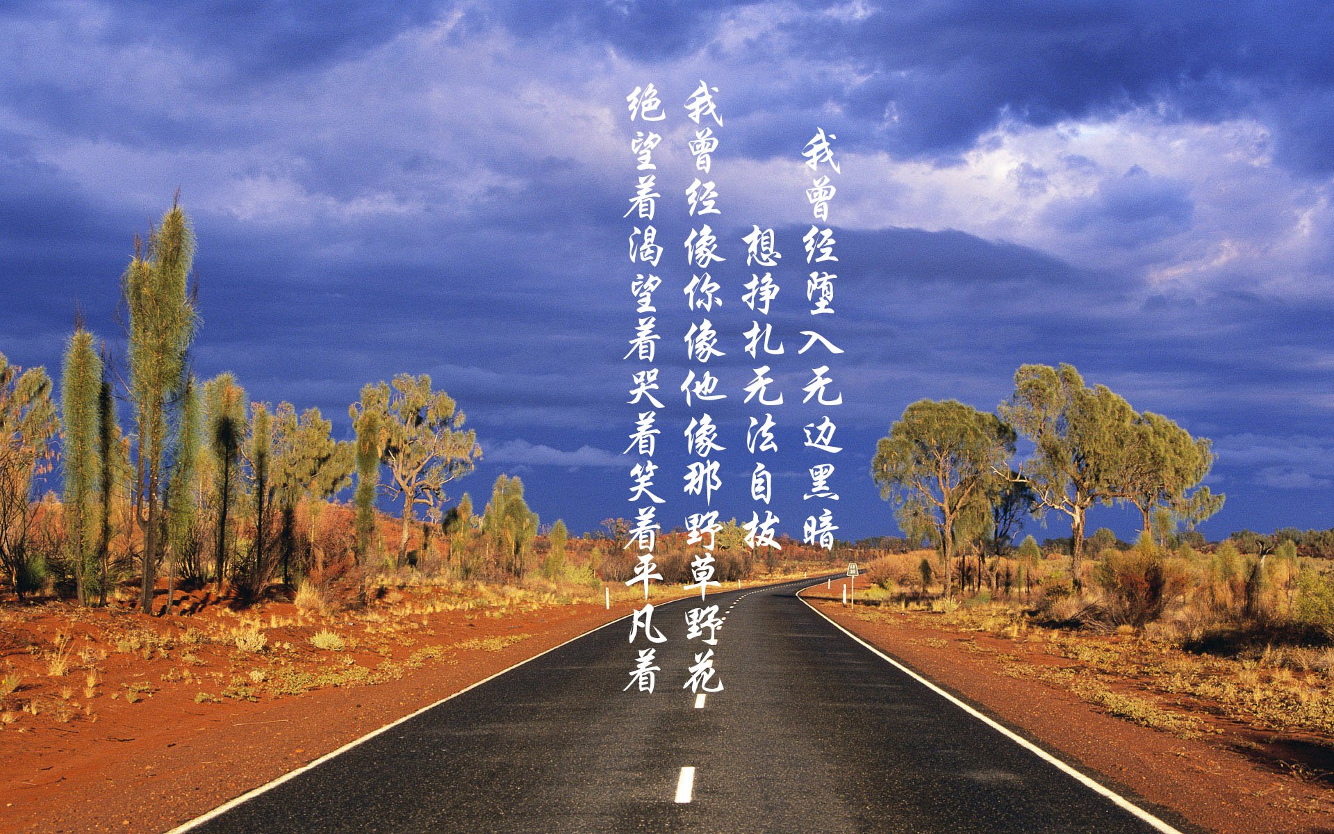 开云体育登录-风暴中的红色，托纳利导演史诗逆转，澳大利亚2-1力克保加利亚