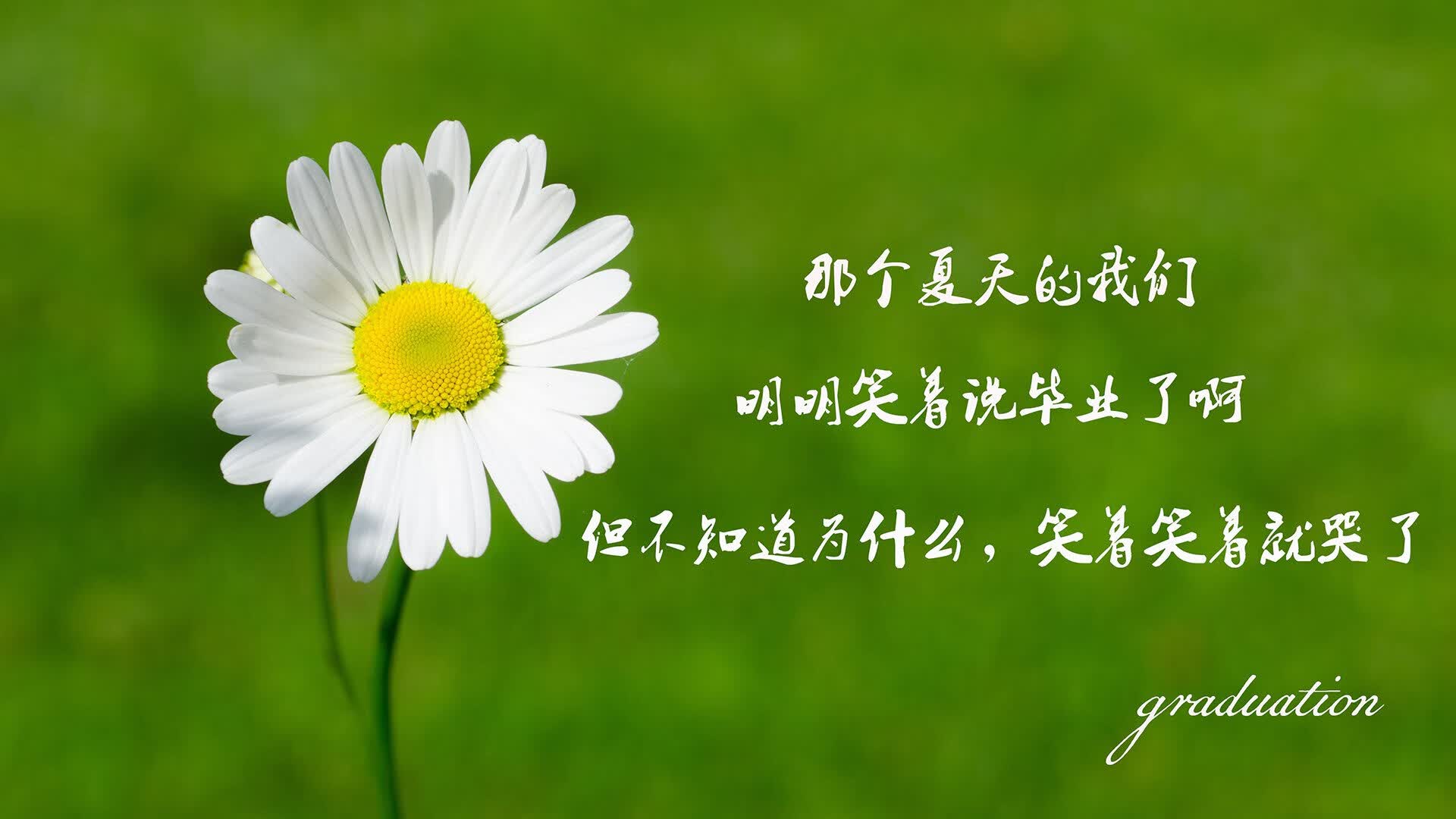 绿茵风暴,巴格达之夜的红色闪电,伊拉克如何用钢铁意志击碎中亚铁骑