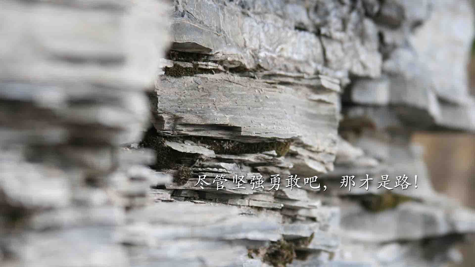沙漠之火,逆转乾坤,齐耶赫导演伊朗史诗级翻盘,匈牙利梦碎2026世界杯C组焦点战
